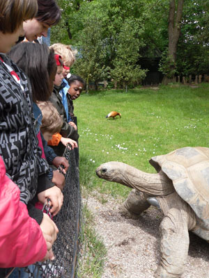 Hagenbeck